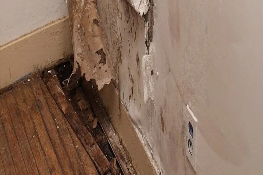 The Benefits of Hiring Local Water Damage Repair Experts Water Damage Repair Experts